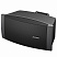 BOSE FreeSpace DS 100SE